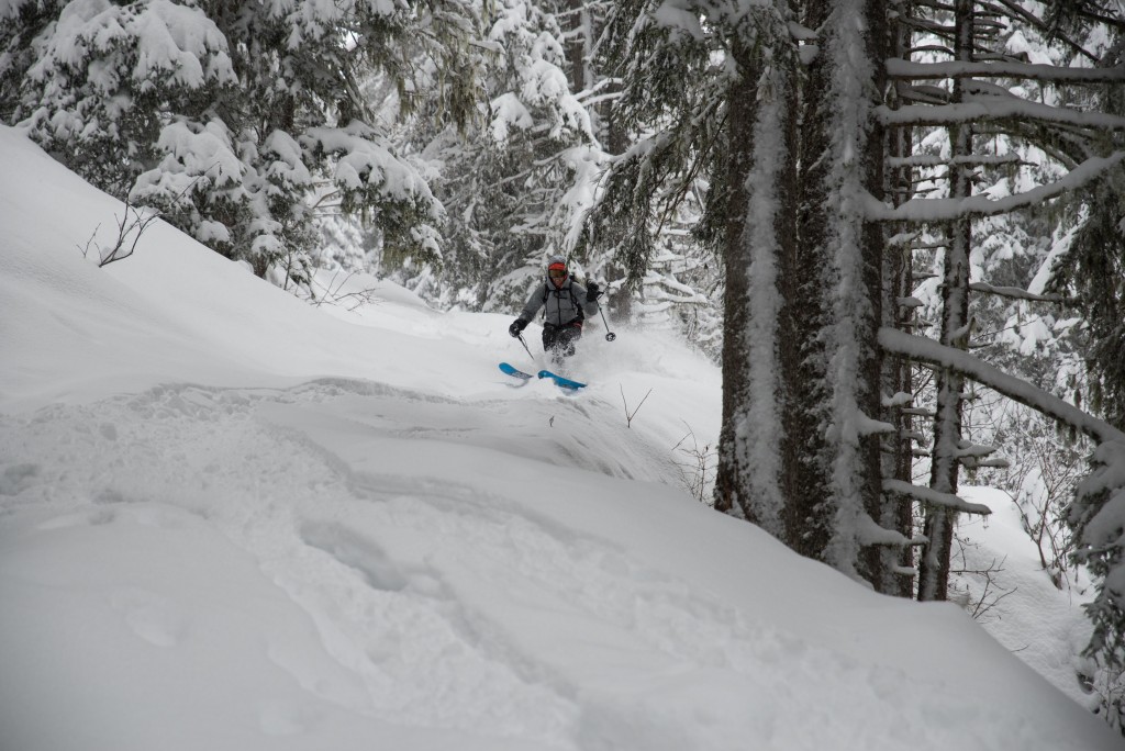 Du très bon ski en forêt sur l’itinéraire de montée