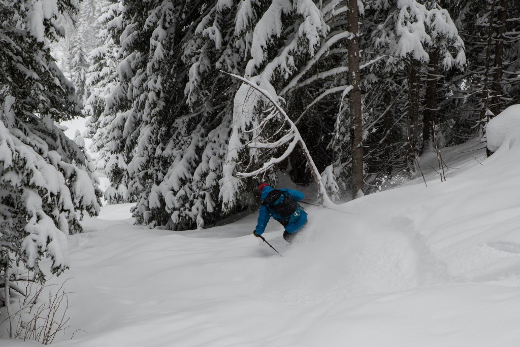 Du très bon ski en forêt sur l’itinéraire de montée